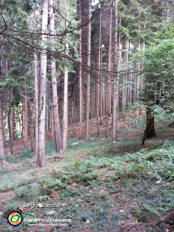 09 - Molto bello qui.jpg